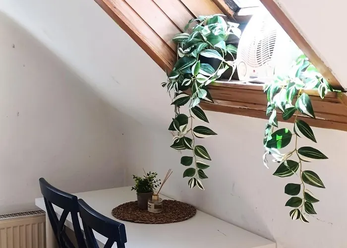 For Families Or Groups Lublana