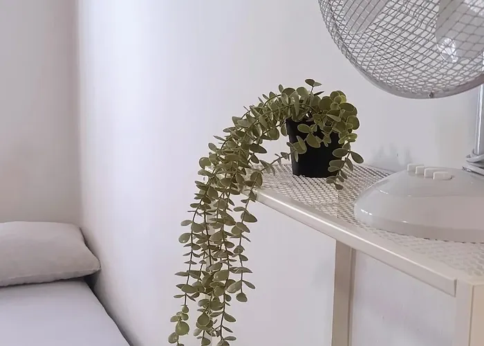 For Families Or Groups *