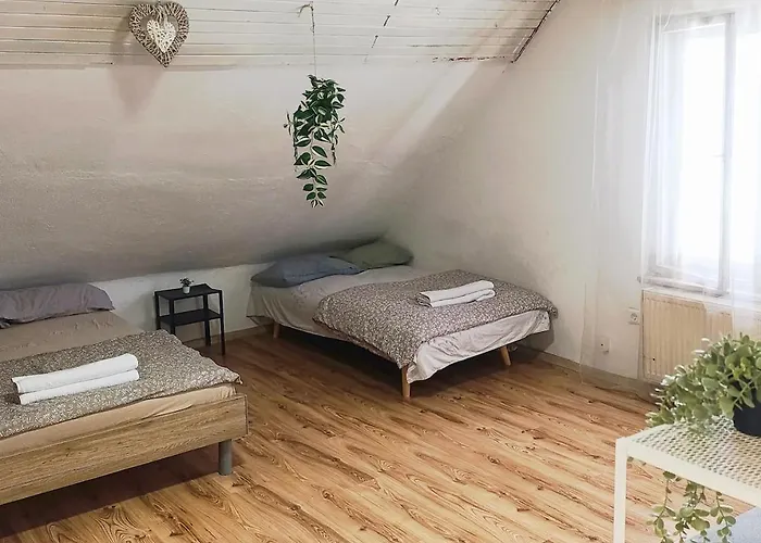 For Families Or Groups Apartment