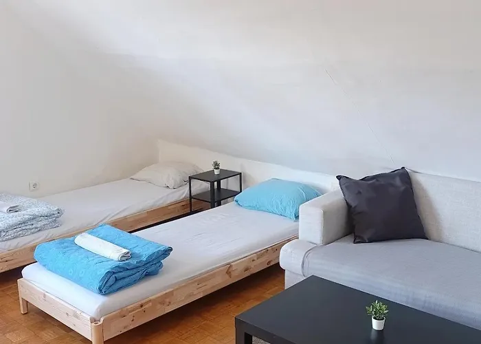 For Families Or Groups Apartment *