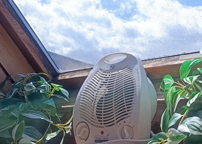 For Families Or Groups